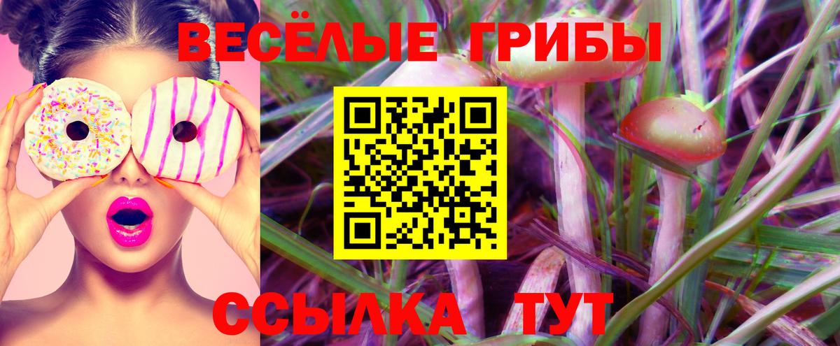 Меф МЯУ МЯУ кристаллы  ГАШИШ  Бошки Шишки  Вход с VPN  Cocaine  Лсд 25  ЭКСТАЗИ  Купить наркотики  Астрахань  ГАШ 